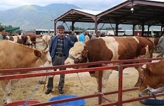 Erzincan hayvan pazarında kurban bayram yoğunluğu