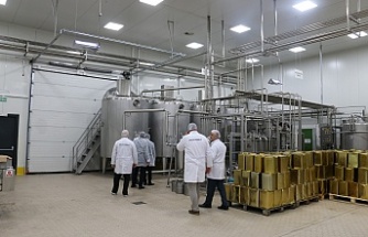 Erzincan’da ayda 200 ton bal işleniyor