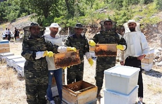 Doğal Kekik ve Geven Aromalı Ballar Tezgâhlara İniyor