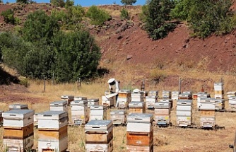 Erzincan, Balın Altın Diyarı
