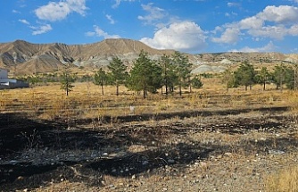 Erzincan'da Korkutan Arazi Yangını