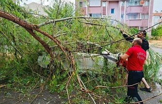 Erzincan’da Sağanak ve Fırtına Ağaçları Devirdi, Çatıları Uçurdu