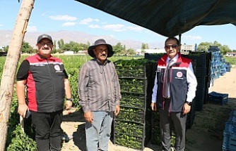 Hem Üretiyor Hem İstihdam Sağlıyor