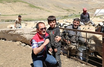 Erzincan Yaylalarında Üretim Tamam