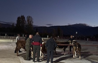 Kapılarını yeniden yetiştiricilere açtı