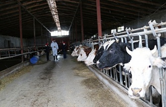Erzincan'da Süt Üretimine Yerinde Destek