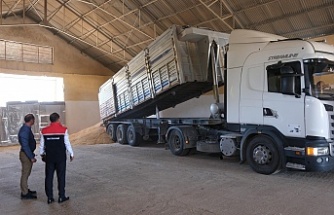 TMO Erzincan’dan Hayvan Üreticilerine Arpa Desteği Başlıyor