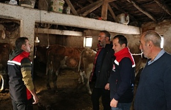 Üreticilere Yerinde Destek