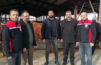 Erzincan’da Kesimhanelerde Yeni Dönem: Yağsız Kesim Başladı