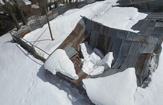 Erzincan'ın Ağılözü Köyü'nde Karın Yıktığı Ahırlar Üreticileri Zora Soktu