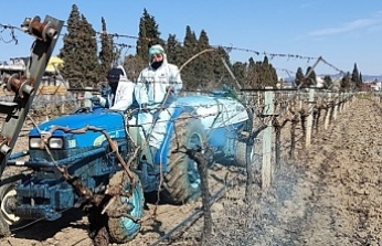 Çiftçilere Kritik Uyarı: Bordo Bulamacı Uygulama Zamanı Başladı