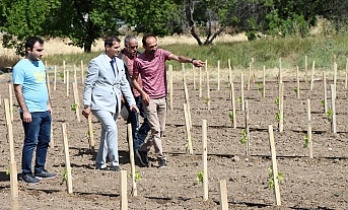 Erzincan’da uzun yıllar süren çalışmaların ardından tescil ettiriliyor