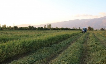 ÇKS Başvuruları 31 Aralık’ta Sona Eriyor