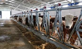 Erzincan’da Hibe Desteğiyle Kurulan Modern Tesis Üretime Başladı