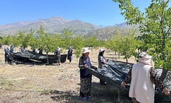 Erzincan’da Yüzde 70 Hibeli Anahtar Teslim Bahçeler Kurulacak