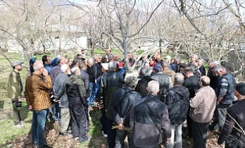 Meyve Ağaçlarında Budama Eğitimi Başlıyor