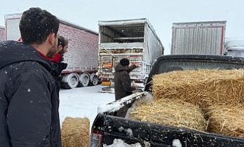 Tarım Ekipleri Seferber Oldu