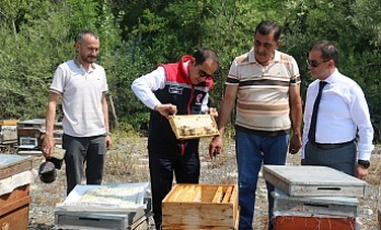 Coğrafi İşaretli Ürün Sayısı 17’ye Yükseldi