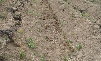 Toprak İşleme ve Gübreleme Nasıl Olmalı?