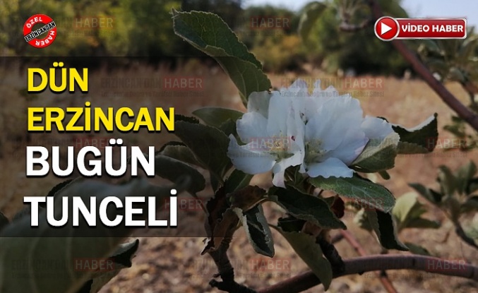 Önce Erzincan, Sonra Tunceli..