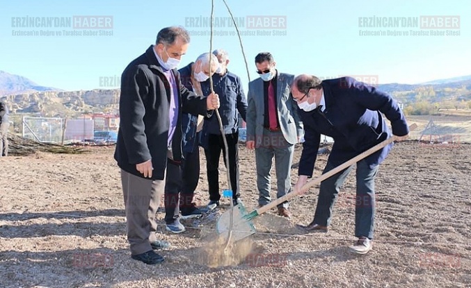 Doğu’nun ‘Ceviz Bahçesi’ büyümeye devam ediyor