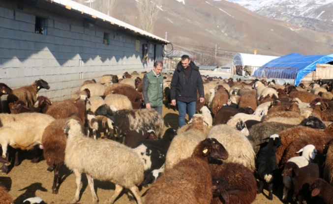 Erzincan’da zararları devlet tarafından karşılanan çiftçiler umutla üretiyor