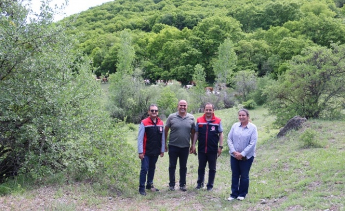 Erzincan’ da kadın muhtar, hayvancılıkta örnek oluyor