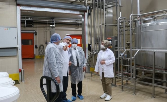 Erzincan Süt Fabrikası günde 45 bin litre süt işliyor
