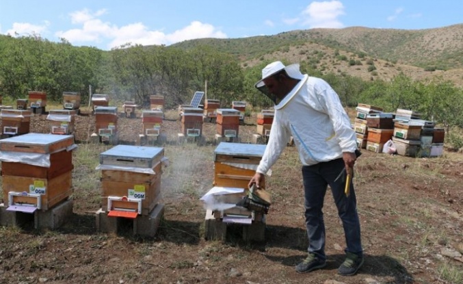 Erzincan’ın arıcılık potansiyeli ve tescilli lezzetleri