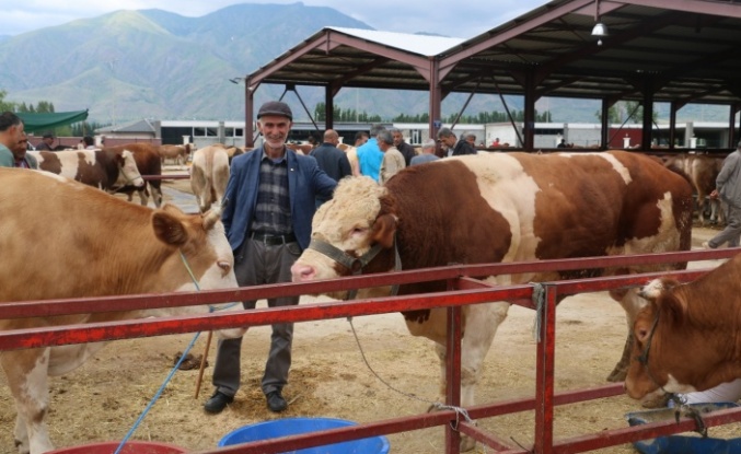 Erzincan hayvan pazarında kurban bayram yoğunluğu