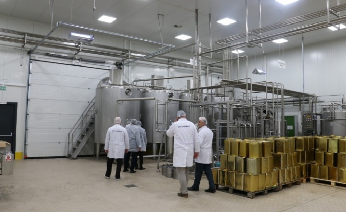 Erzincan’da ayda 200 ton bal işleniyor