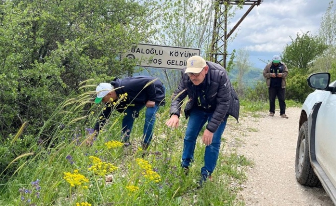 Erzincan’da tarım alanlarında  önlem başladı