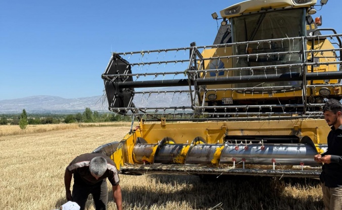 Erzincan’da Buğday Hasadı Başladı, Denetimler Sıkılaştırıldı