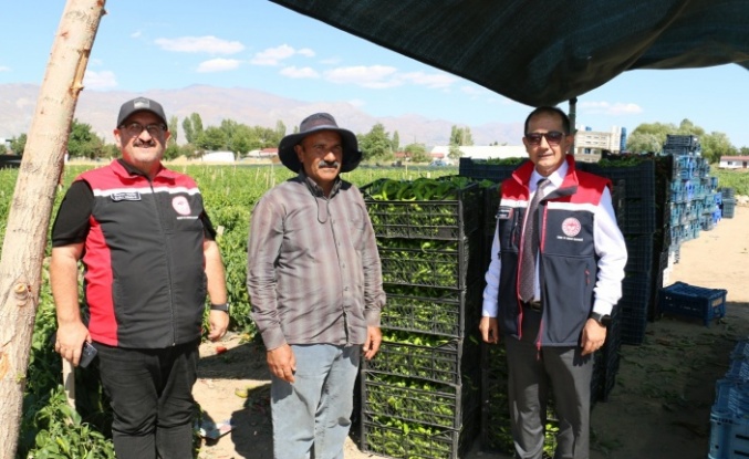 Hem Üretiyor Hem İstihdam Sağlıyor