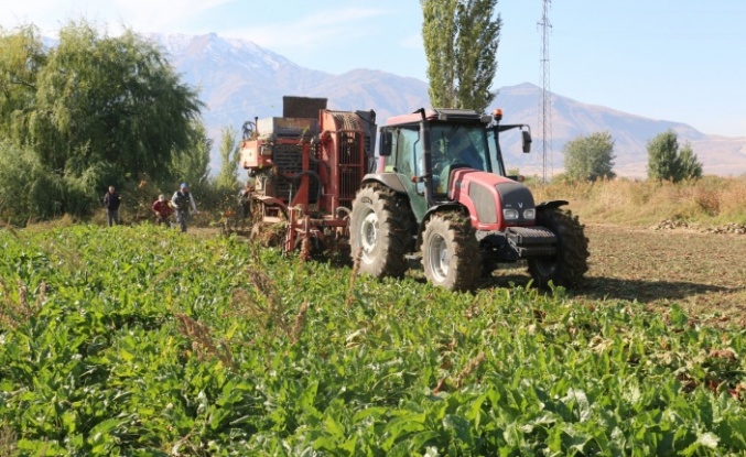 Erzincan’da hasat devam ediyor
