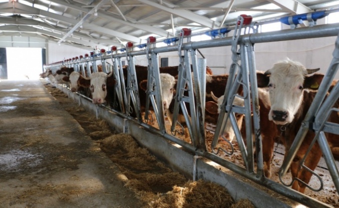 Erzincan’da Hibe Desteğiyle Kurulan Modern Tesis Üretime Başladı