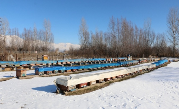 Erzincan’ın Arıcılık Sektörüne Önemli Destek
