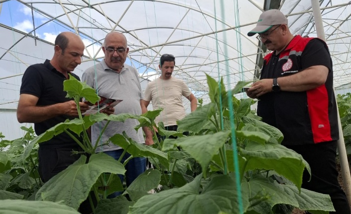 Erzincan’da Pestisit Kontrolleri Sıkılaştırıldı
