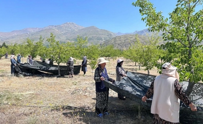 Erzincan’da Yüzde 70 Hibeli Anahtar Teslim Bahçeler Kurulacak