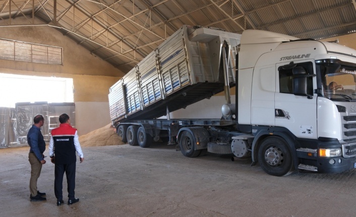 TMO Erzincan’dan Hayvan Üreticilerine Arpa Desteği Başlıyor
