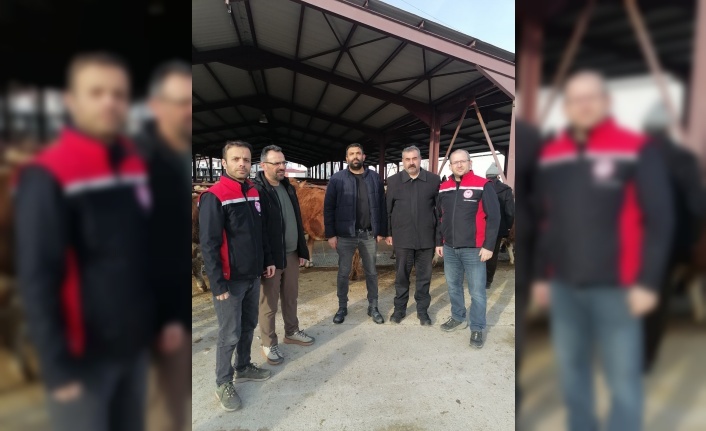 Erzincan’da Kesimhanelerde Yeni Dönem: Yağsız Kesim Başladı