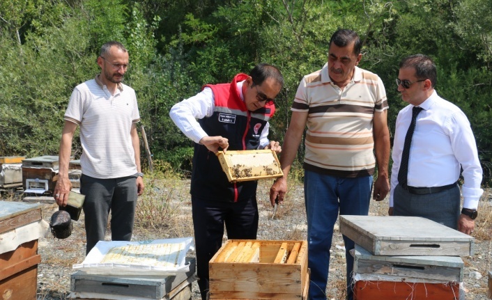 Coğrafi İşaretli Ürün Sayısı 17’ye Yükseldi