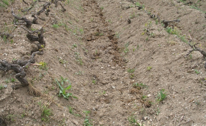 Toprak İşleme ve Gübreleme Nasıl Olmalı?